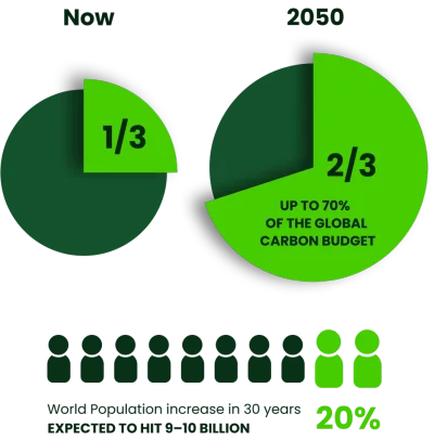 Carbon budget visualization