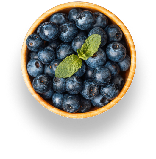 Bowl of fresh blueberries