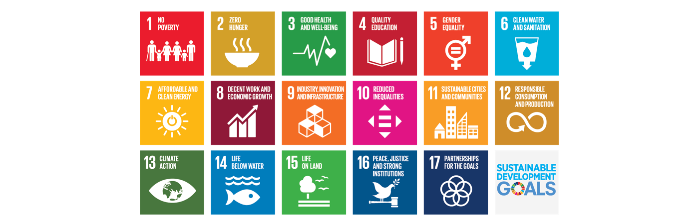 Sustainable Development Goals image